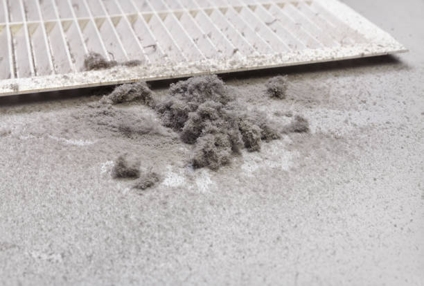 Best HVAC Maintenance and Cleaning  in Moa, UT