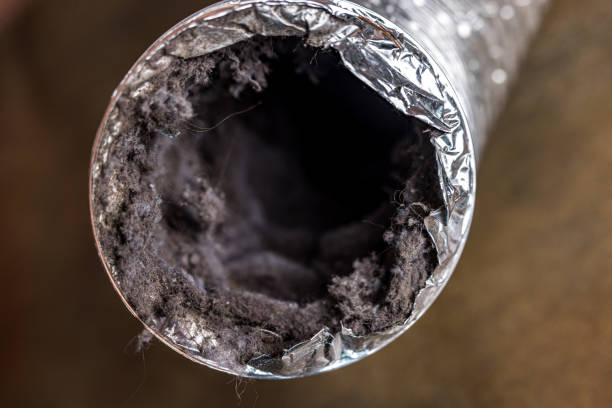 Best Affordable Air Duct Cleaning  in Moa, UT